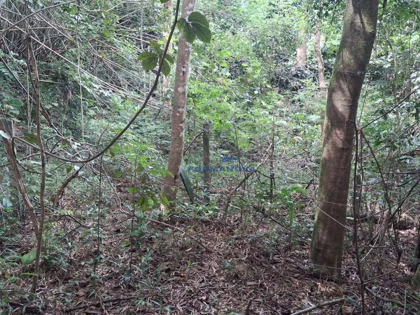 Foto 7 de Terreno / Lote à venda, 2100m2 em Pitas, Cotia - SP