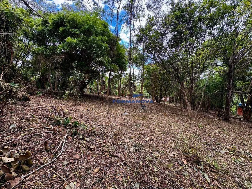 Terreno / Lote à venda, 3500m2 em Chácara das Paineiras, Carapicuiba - SP - imagem 9 Foto 9 de Terreno / Lote à venda, 3500m2 em Chácara das Paineiras, Carapicuiba - SP