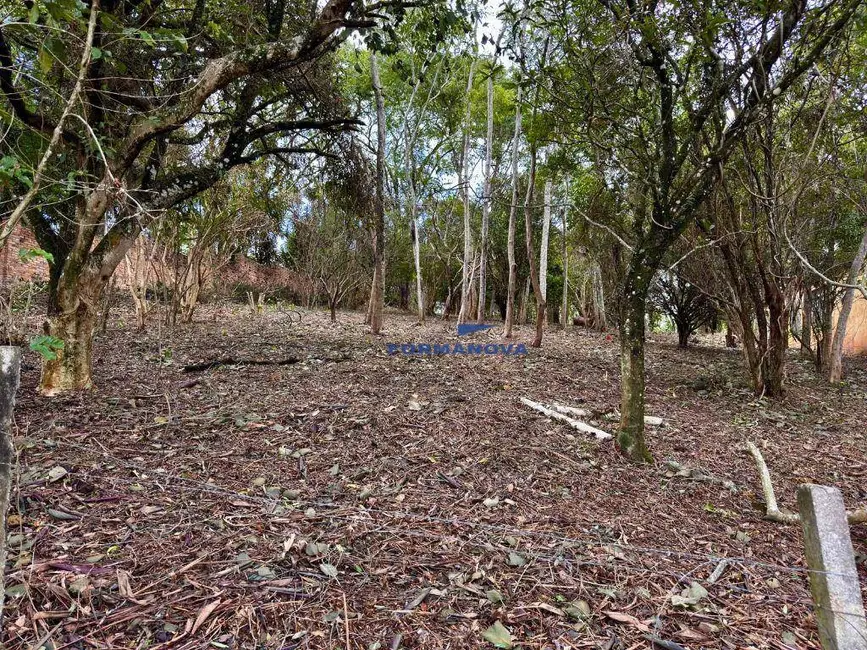 Terreno / Lote à venda, 3500m2 em Chácara das Paineiras, Carapicuiba - SP - imagem 5 Foto 5 de Terreno / Lote à venda, 3500m2 em Chácara das Paineiras, Carapicuiba - SP