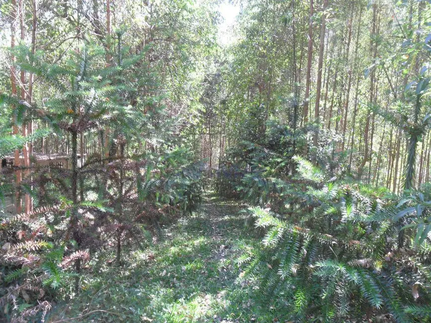 Foto 9 de Casa com 4 quartos à venda, 12833m2 em Santana, Cotia - SP