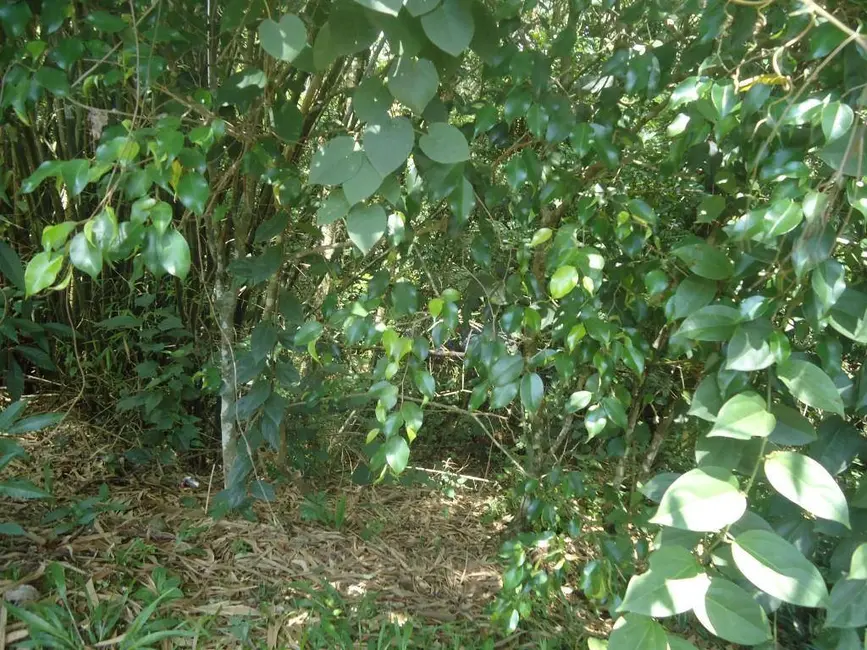 Foto 8 de Terreno / Lote à venda, 1250m2 em Altos de São Fernando, Jandira - SP