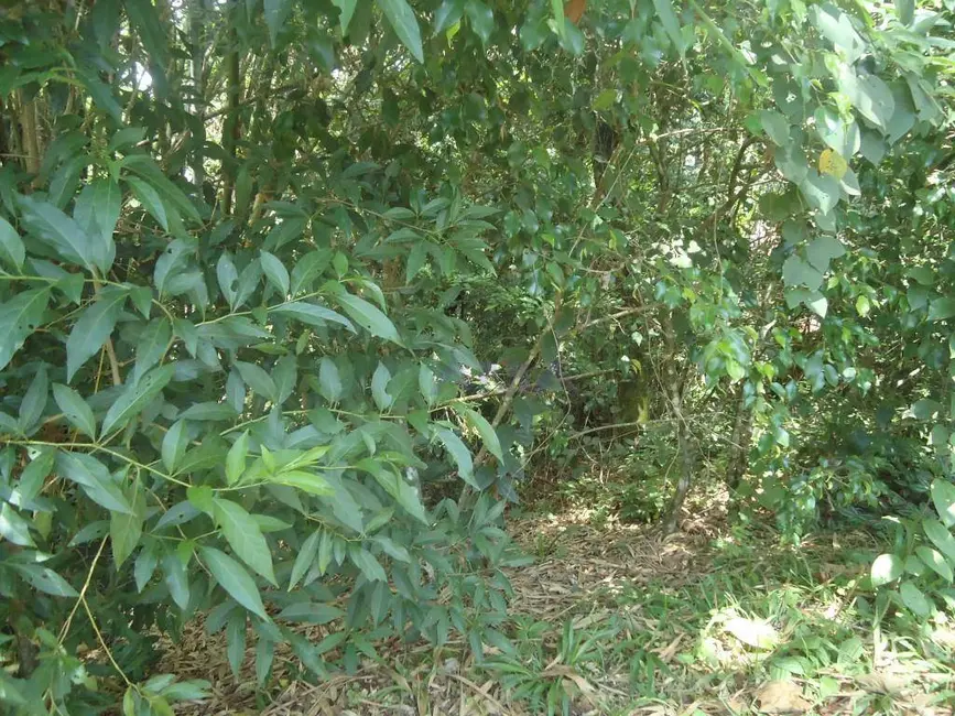 Foto 5 de Terreno / Lote à venda, 1250m2 em Altos de São Fernando, Jandira - SP