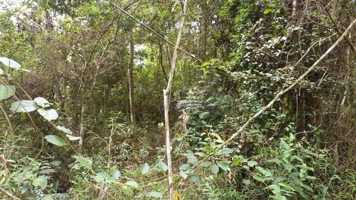 Foto 2 de Terreno / Lote à venda, 4044m2 em Capuava, Embu Das Artes - SP