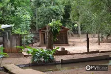 Imagem 28