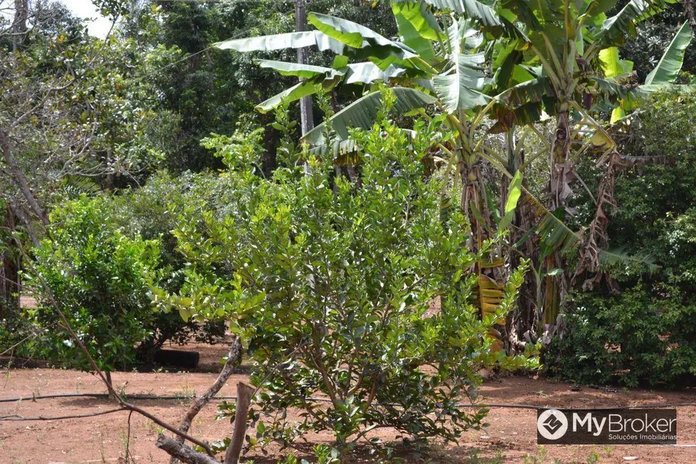 Foto 11 de Chácara à venda, 48400m2 em Goianira - GO