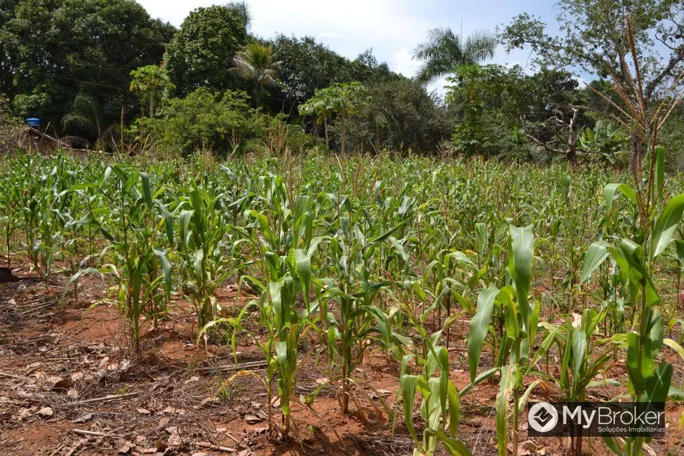 Foto 10 de Chácara à venda, 48400m2 em Goianira - GO