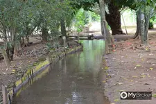 Imagem 23