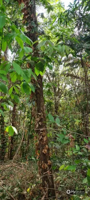 Foto 9 de Chácara à venda, 3960m2 em Independência, Aparecida De Goiania - GO