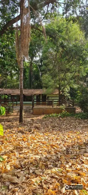 Foto 5 de Chácara à venda, 3960m2 em Independência, Aparecida De Goiania - GO