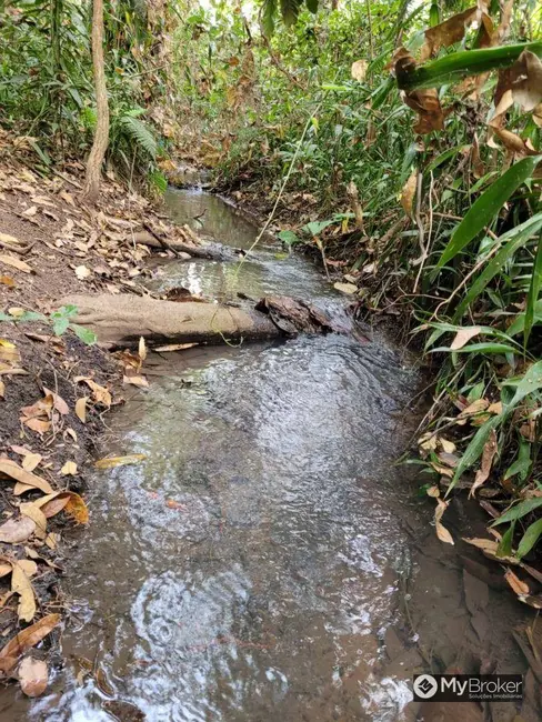 Foto 6 de Chácara à venda, 3960m2 em Independência, Aparecida De Goiania - GO