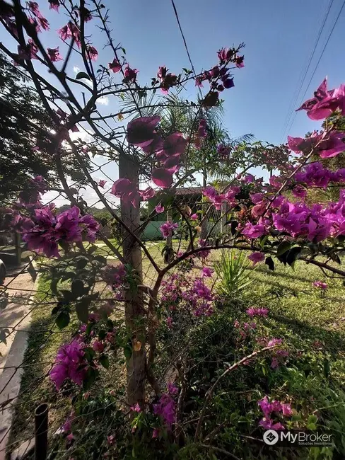 Foto 4 de Chácara com 3 quartos à venda, 3656m2 em Aragoiania - GO