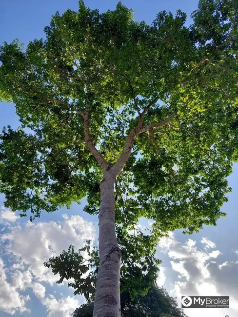 Foto 2 de Chácara com 3 quartos à venda, 3656m2 em Aragoiania - GO