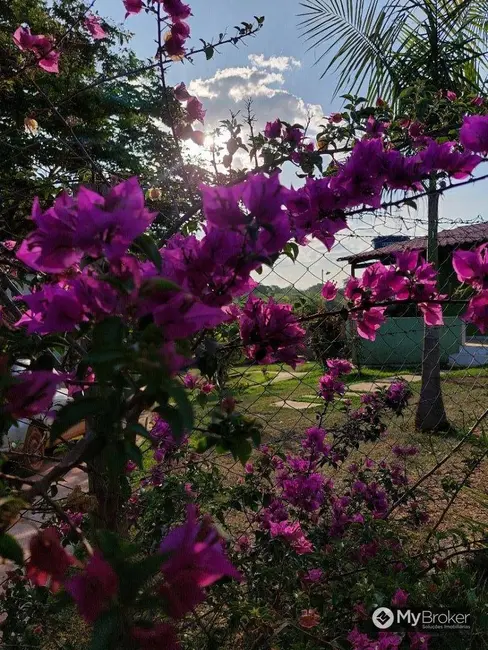Foto 6 de Chácara com 3 quartos à venda, 3656m2 em Aragoiania - GO