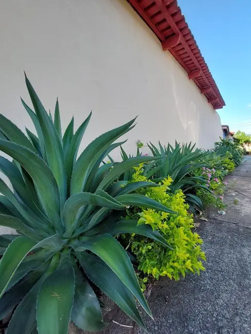 Foto 3 de Casa com 4 quartos à venda, 374m2 em Jardim Planalto, Goiania - GO