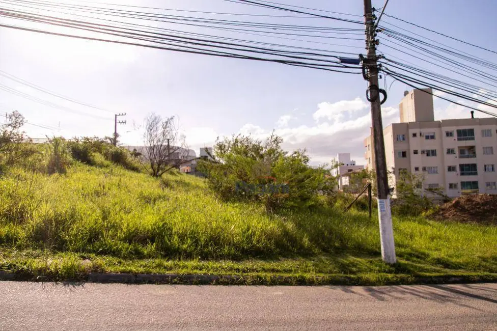 Foto 2 de Terreno / Lote à venda, 998m2 em Passa Vinte, Palhoca - SC