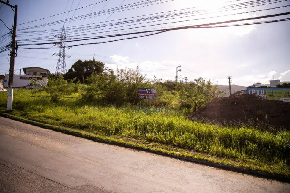 Foto 5 de Terreno / Lote à venda, 998m2 em Passa Vinte, Palhoca - SC