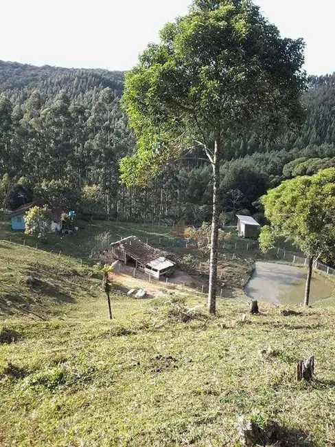 Sítio / Rancho à venda, 162480m2 em Sao Pedro De Alcantara - SC - imagem 3 Foto 3 de Sítio / Rancho à venda, 162480m2 em Sao Pedro De Alcantara - SC