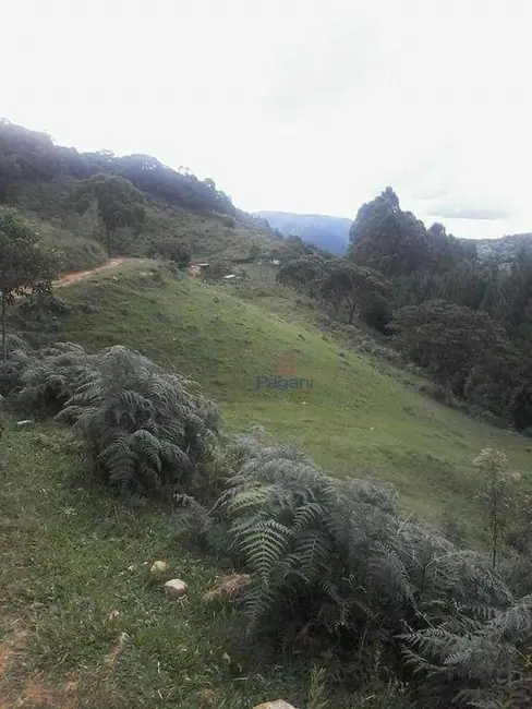 Sítio / Rancho à venda, 162480m2 em Sao Pedro De Alcantara - SC - imagem 5 Foto 5 de Sítio / Rancho à venda, 162480m2 em Sao Pedro De Alcantara - SC