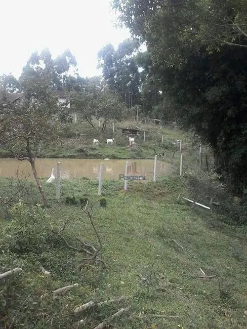 Sítio / Rancho à venda, 162480m2 em Sao Pedro De Alcantara - SC - imagem 4 Foto 4 de Sítio / Rancho à venda, 162480m2 em Sao Pedro De Alcantara - SC