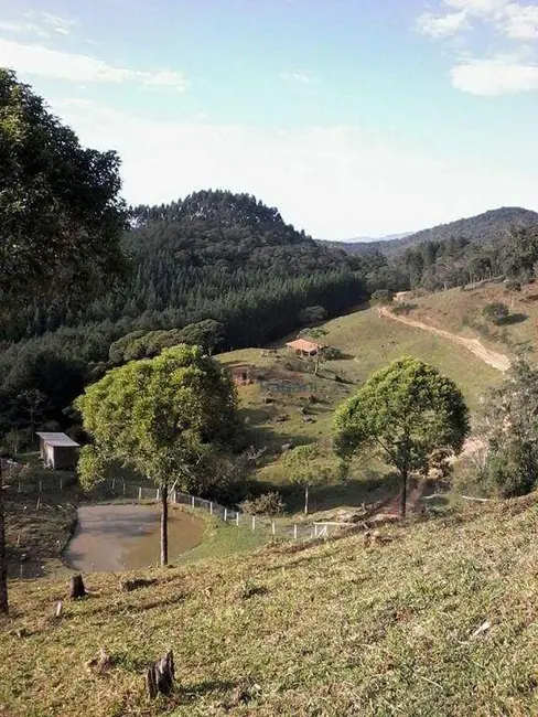 Foto 1 de Sítio / Rancho à venda, 162480m2 em Sao Pedro De Alcantara - SC