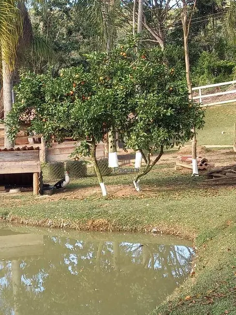 Foto 13 de Terreno / Lote à venda em São Sebastião, Palhoca - SC