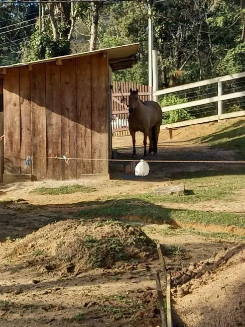 Foto 12 de Terreno / Lote à venda em São Sebastião, Palhoca - SC