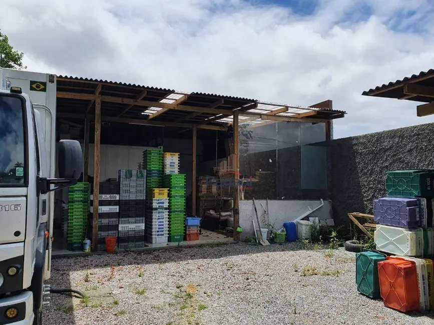 Foto 7 de Armazém / Galpão à venda, 230m2 em Caminho Novo, Palhoca - SC