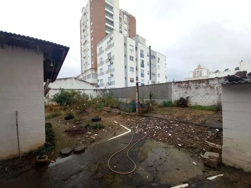 Foto 9 de Casa com 3 quartos à venda, 605m2 em Passa Vinte, Palhoca - SC