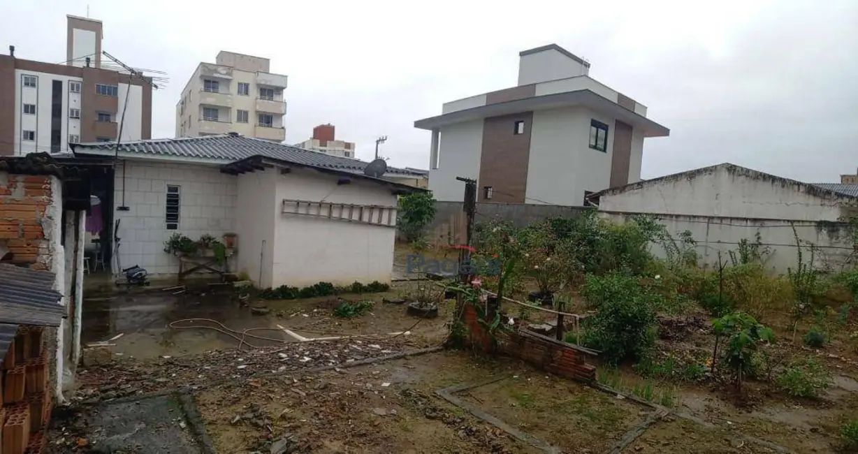 Foto 3 de Casa com 3 quartos à venda, 605m2 em Passa Vinte, Palhoca - SC