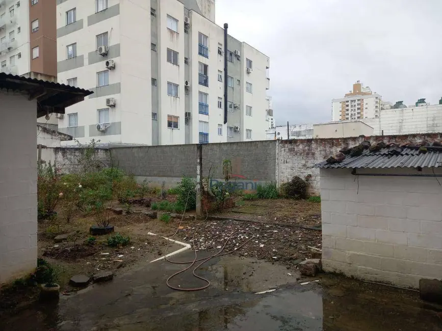 Foto 7 de Casa com 3 quartos à venda, 605m2 em Passa Vinte, Palhoca - SC