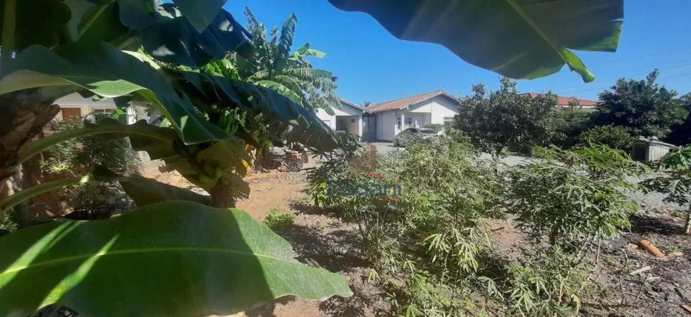 Foto 6 de Casa com 4 quartos à venda, 931m2 em Guarda do Cubatão, Palhoca - SC