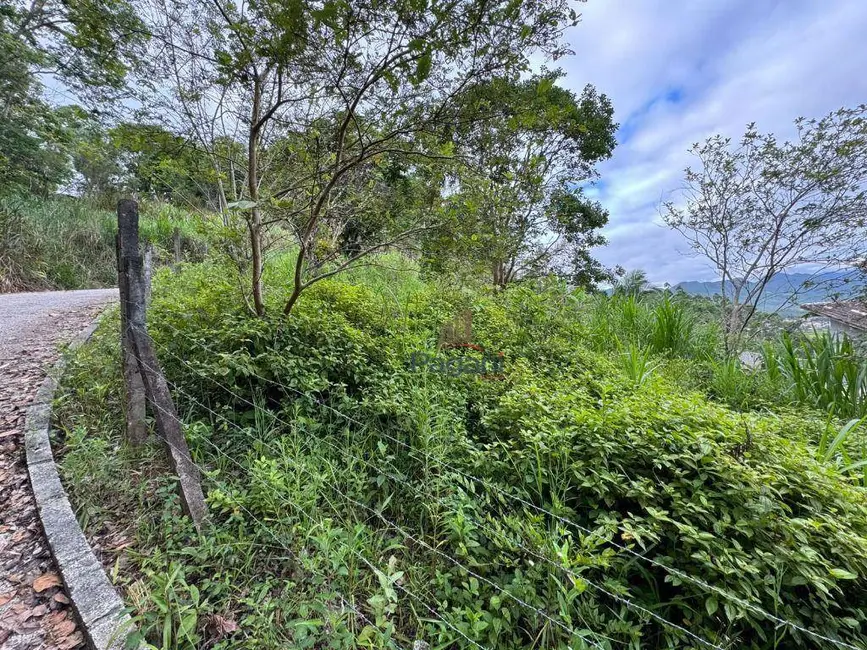 Terreno / Lote à venda, 592m2 em Alto Aririú, Palhoca - SC - imagem 6 Foto 6 de Terreno / Lote à venda, 592m2 em Alto Aririú, Palhoca - SC
