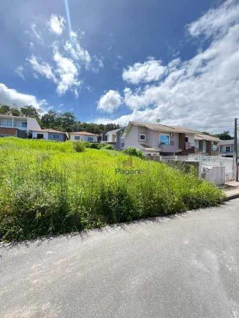 Foto 3 de Terreno / Lote à venda, 297m2 em Potecas, Sao Jose - SC