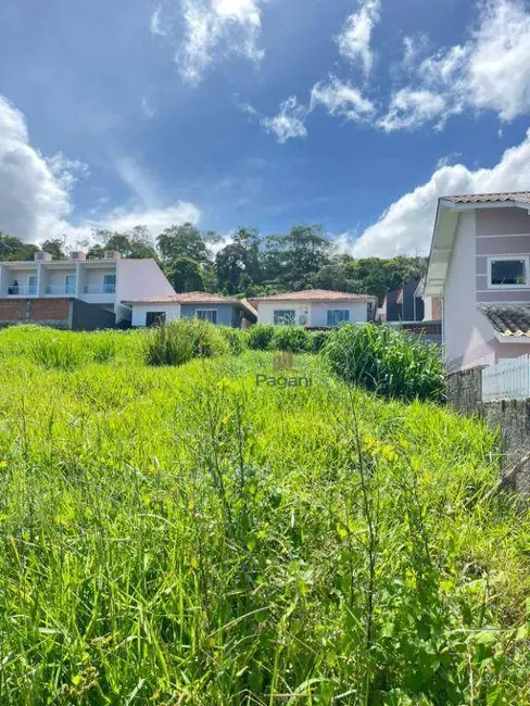 Foto 5 de Terreno / Lote à venda, 297m2 em Potecas, Sao Jose - SC