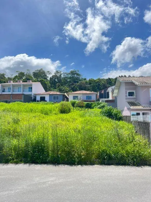 Foto 4 de Terreno / Lote à venda, 297m2 em Potecas, Sao Jose - SC