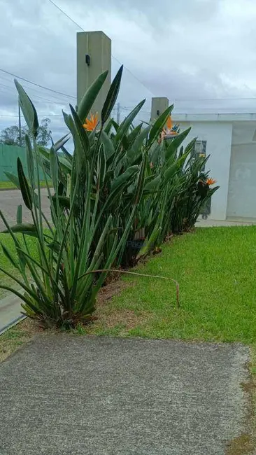 Foto 9 de Casa com 3 quartos à venda, 228m2 em Passo De Torres - SC