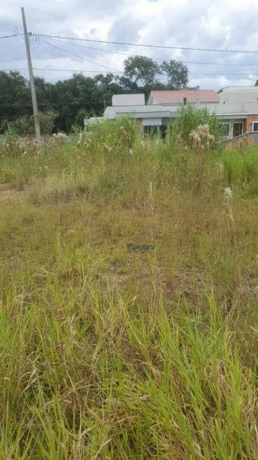 Foto 4 de Terreno / Lote à venda, 200m2 em Caminho Novo, Palhoca - SC