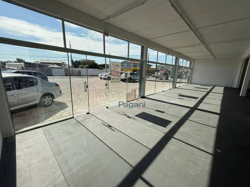 Foto 9 de Armazém / Galpão para alugar, 740m2 em Rio Grande, Palhoca - SC