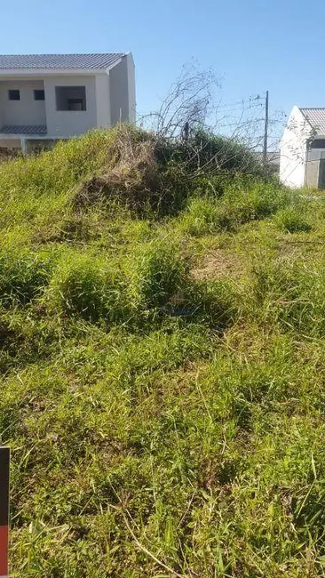 Foto 4 de Terreno / Lote à venda, 200m2 em Caminho Novo, Palhoca - SC