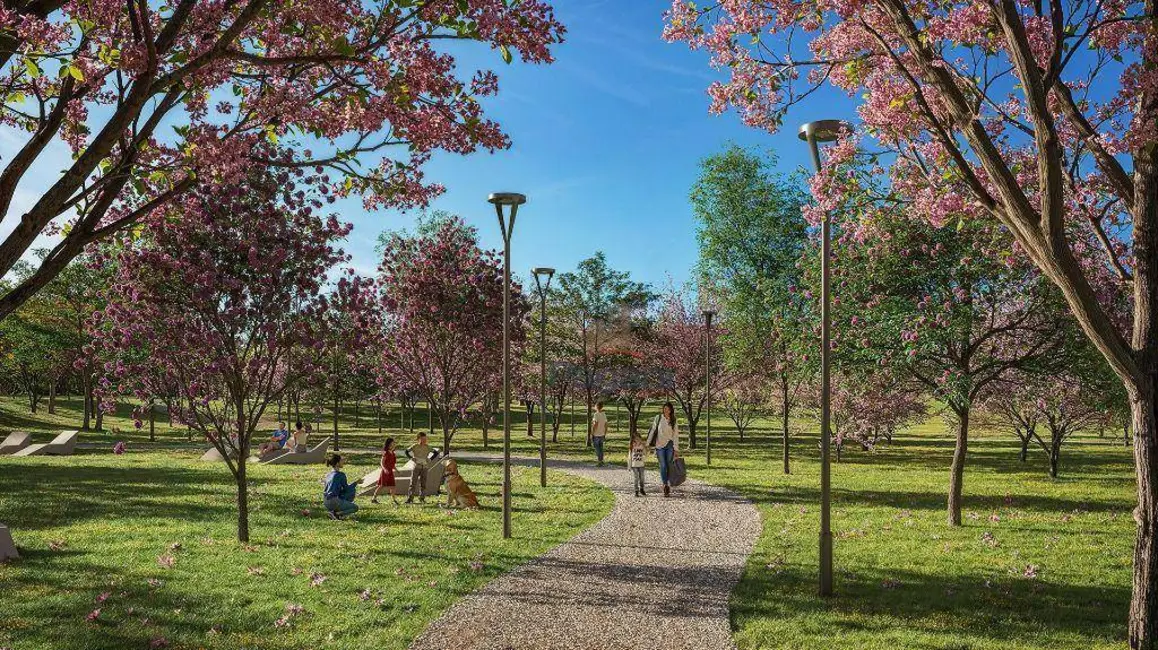 Foto 6 de Terreno / Lote para alugar, 250m2 em Tijucas - SC