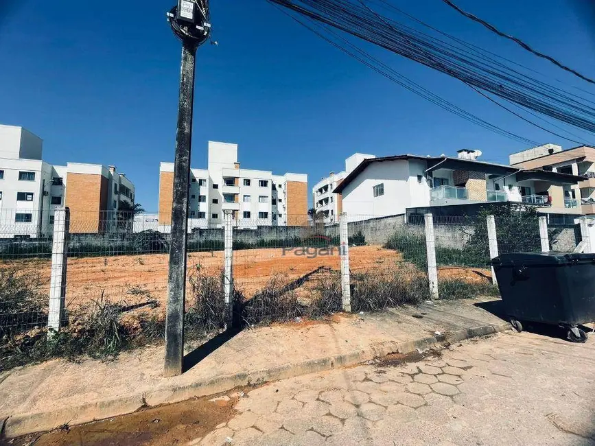 Foto 2 de Terreno / Lote à venda, 240m2 em Bela Vista, Palhoca - SC
