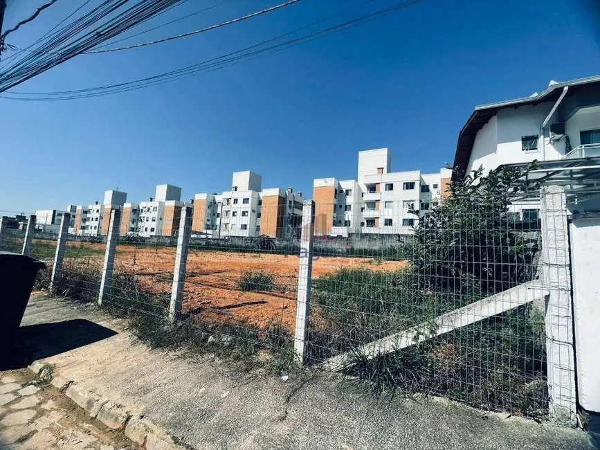 Foto 6 de Terreno / Lote à venda, 240m2 em Bela Vista, Palhoca - SC