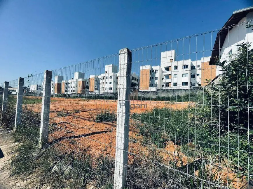 Foto 3 de Terreno / Lote à venda, 240m2 em Bela Vista, Palhoca - SC