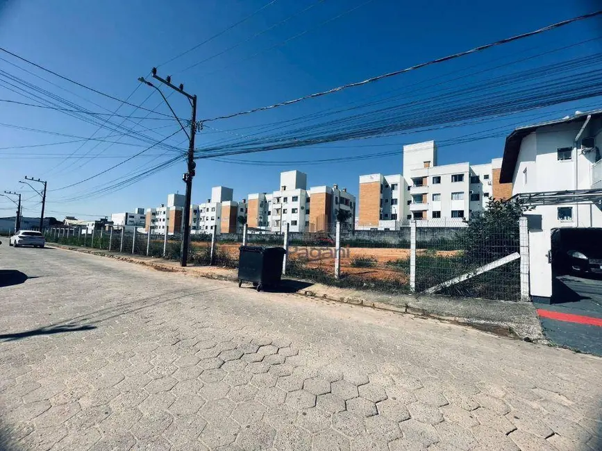 Foto 5 de Terreno / Lote à venda, 240m2 em Bela Vista, Palhoca - SC