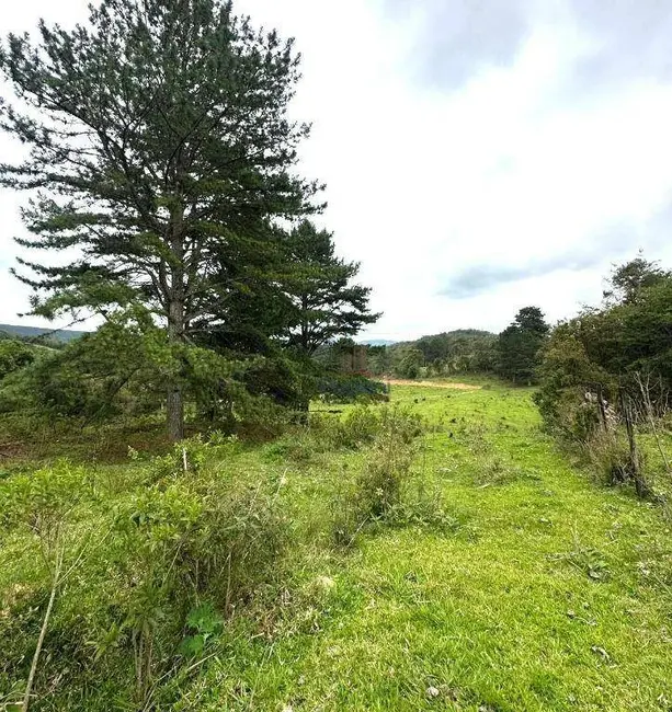 Foto 4 de Sala Comercial à venda, 99000m2 em Rancho Queimado - SC
