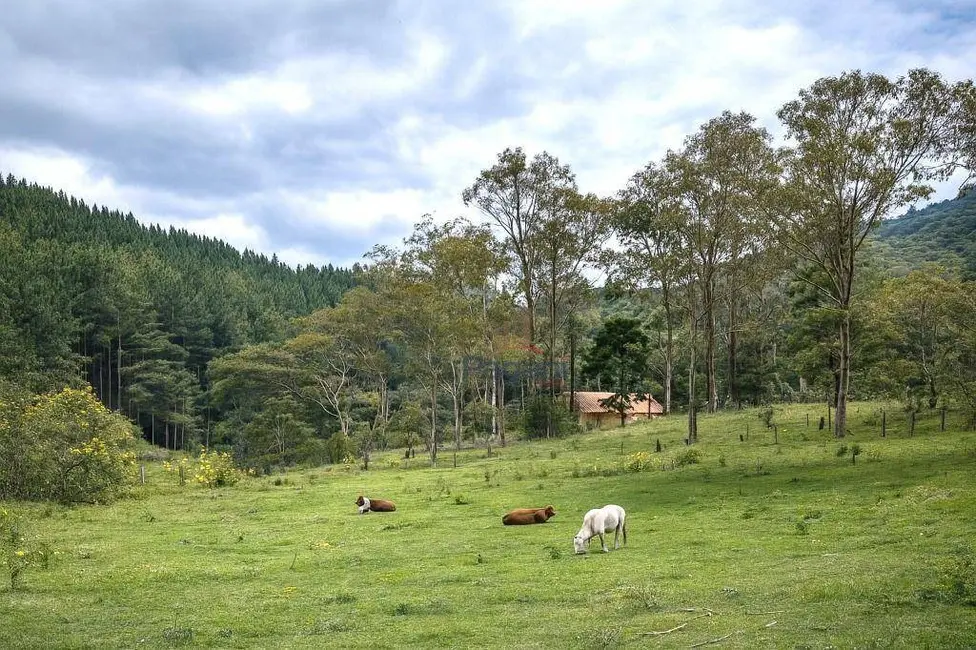 Foto 1 de Sala Comercial à venda, 99000m2 em Rancho Queimado - SC