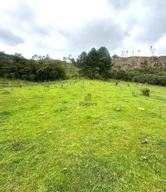 Foto 7 de Sala Comercial à venda, 99000m2 em Rancho Queimado - SC