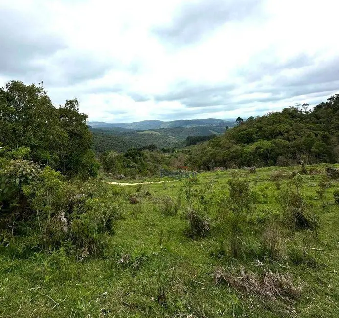 Foto 5 de Sala Comercial à venda, 99000m2 em Rancho Queimado - SC