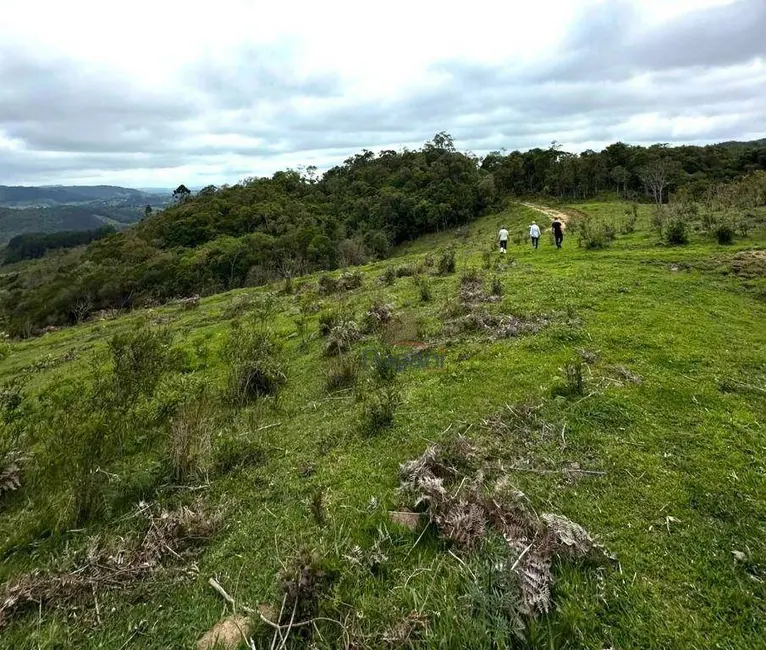 Foto 8 de Sala Comercial à venda, 99000m2 em Rancho Queimado - SC
