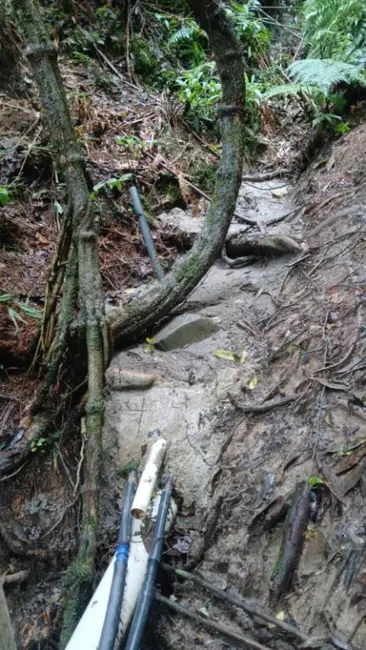 Foto 9 de Sítio / Rancho à venda, 30m2 em Anitapolis - SC